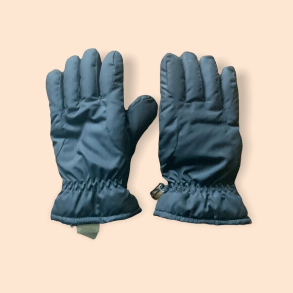 Eddie Bauer Blue Winter Ski/Everyday Gloves Medium EUC - Picture 1 of 3